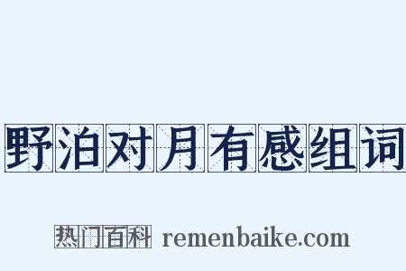 野泊对月有感组词是什么意思的图片